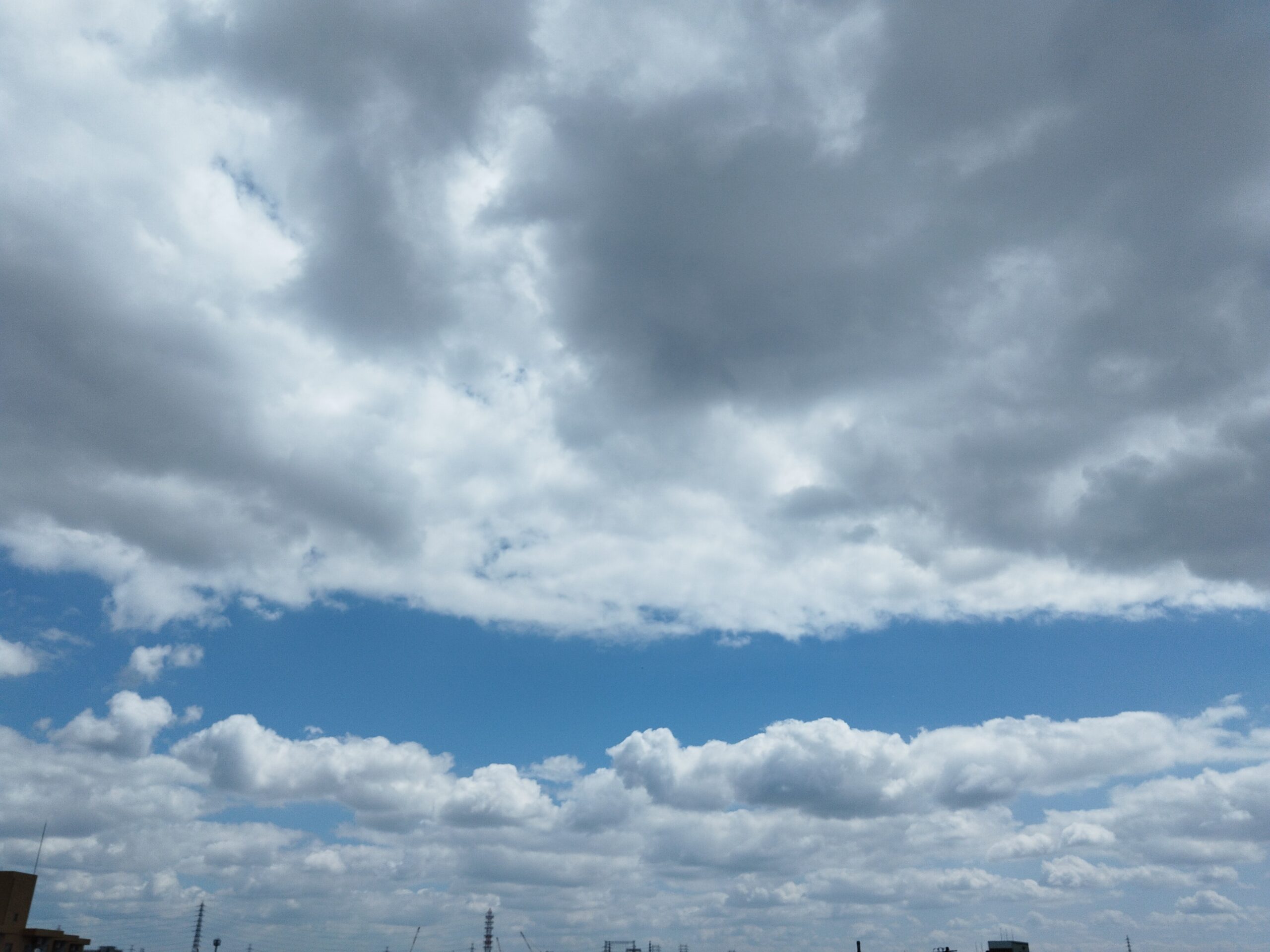IMG_20240811_104407.jpg